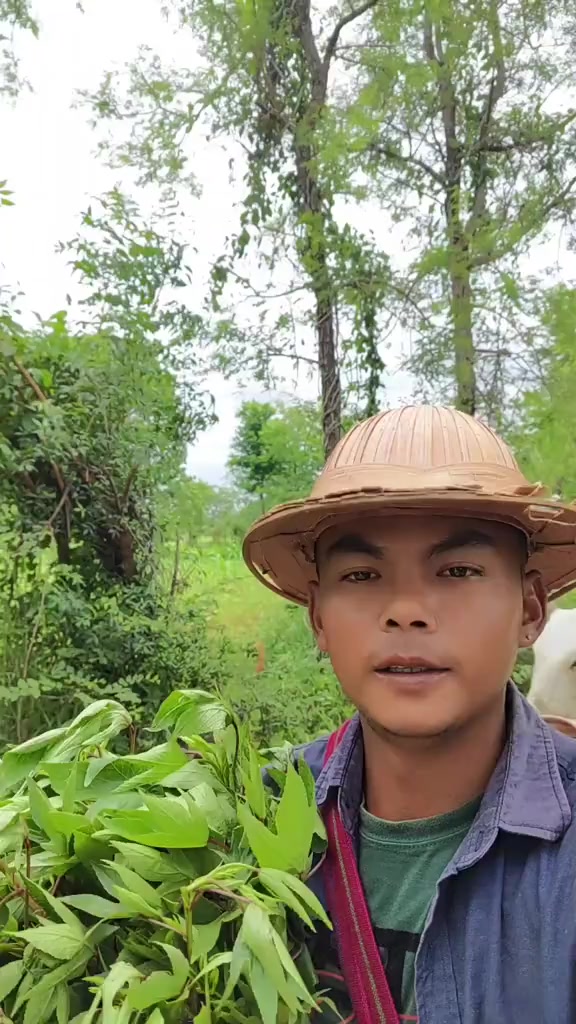 @Jitoo