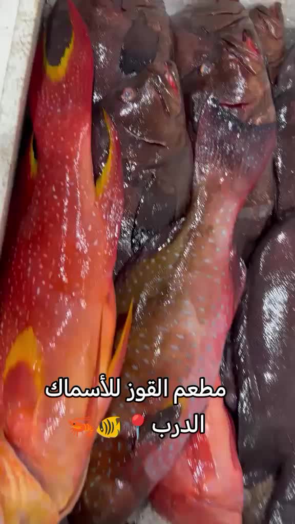 @مطعم القوز للأسماك.الدرب🧿