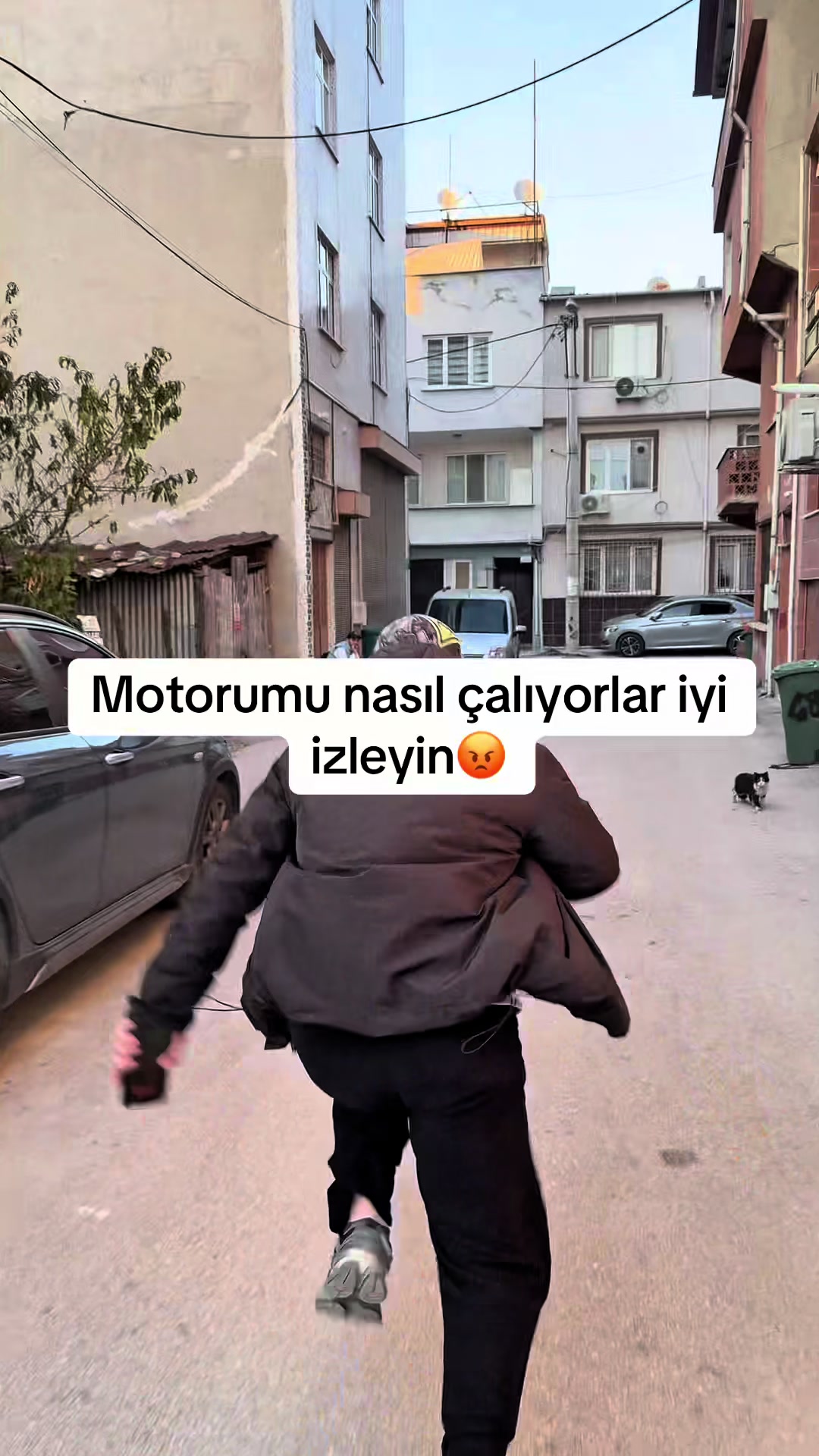 @çaylak