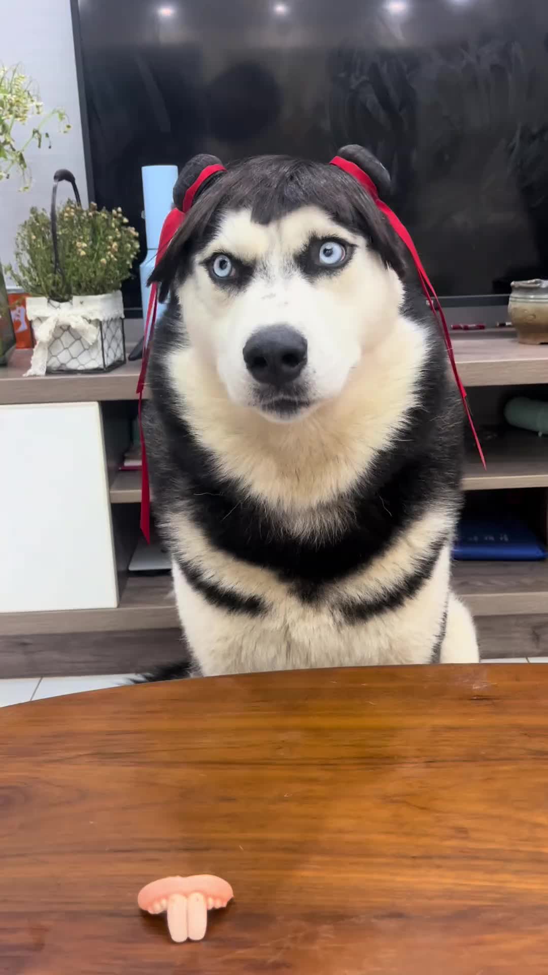@Maxxxxxxx