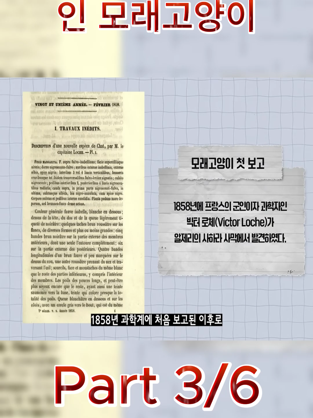 @몽구로운 지식