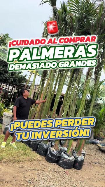 @VIVERO LAS G🦁RDENIAS|TRUJILLO