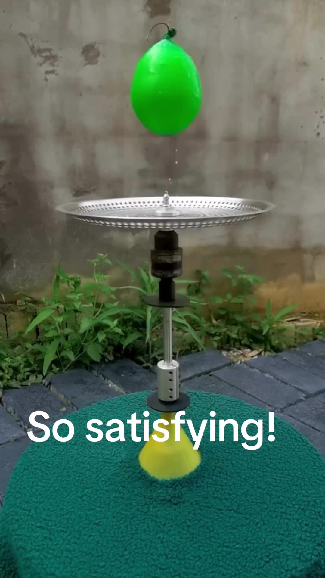 @Edgy Fent