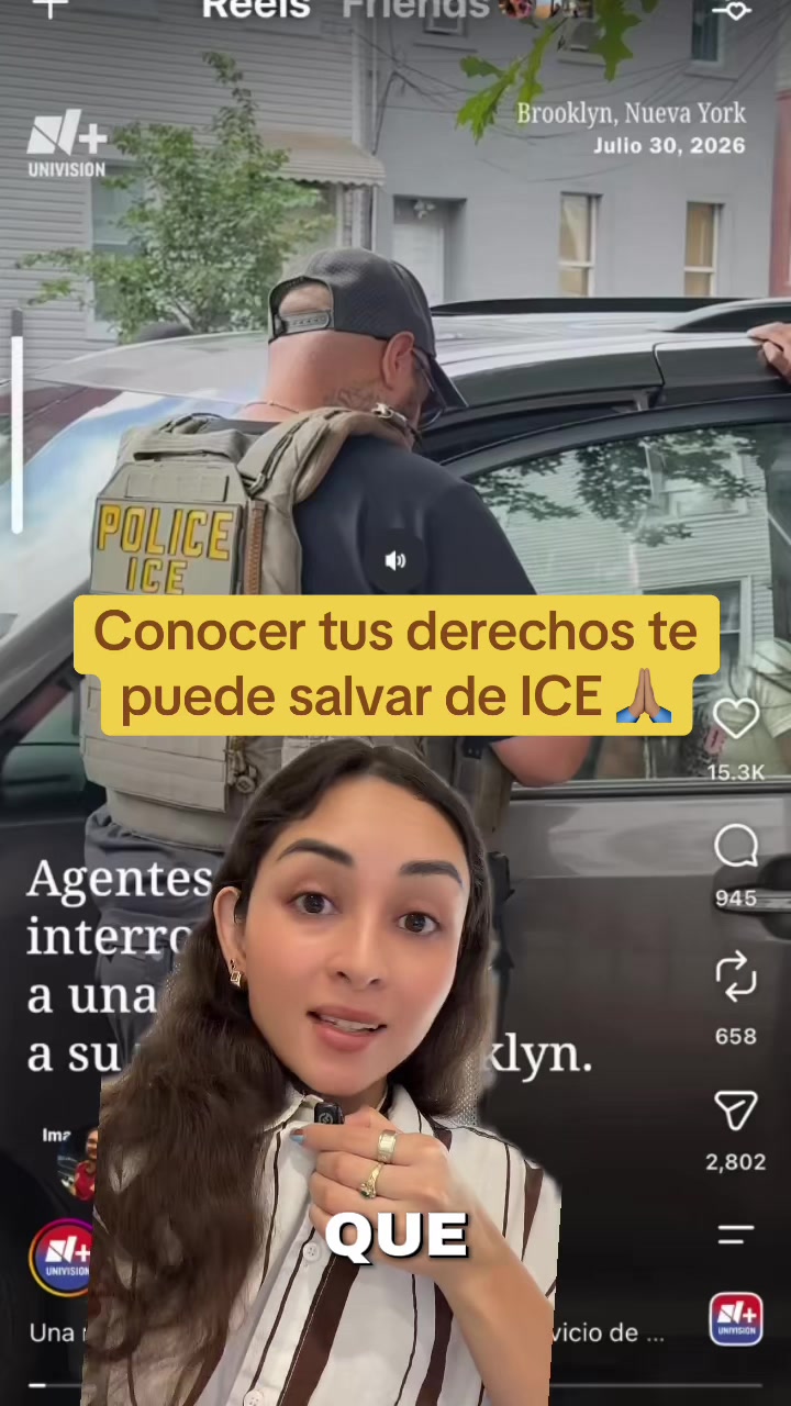 @dienerlawabogados