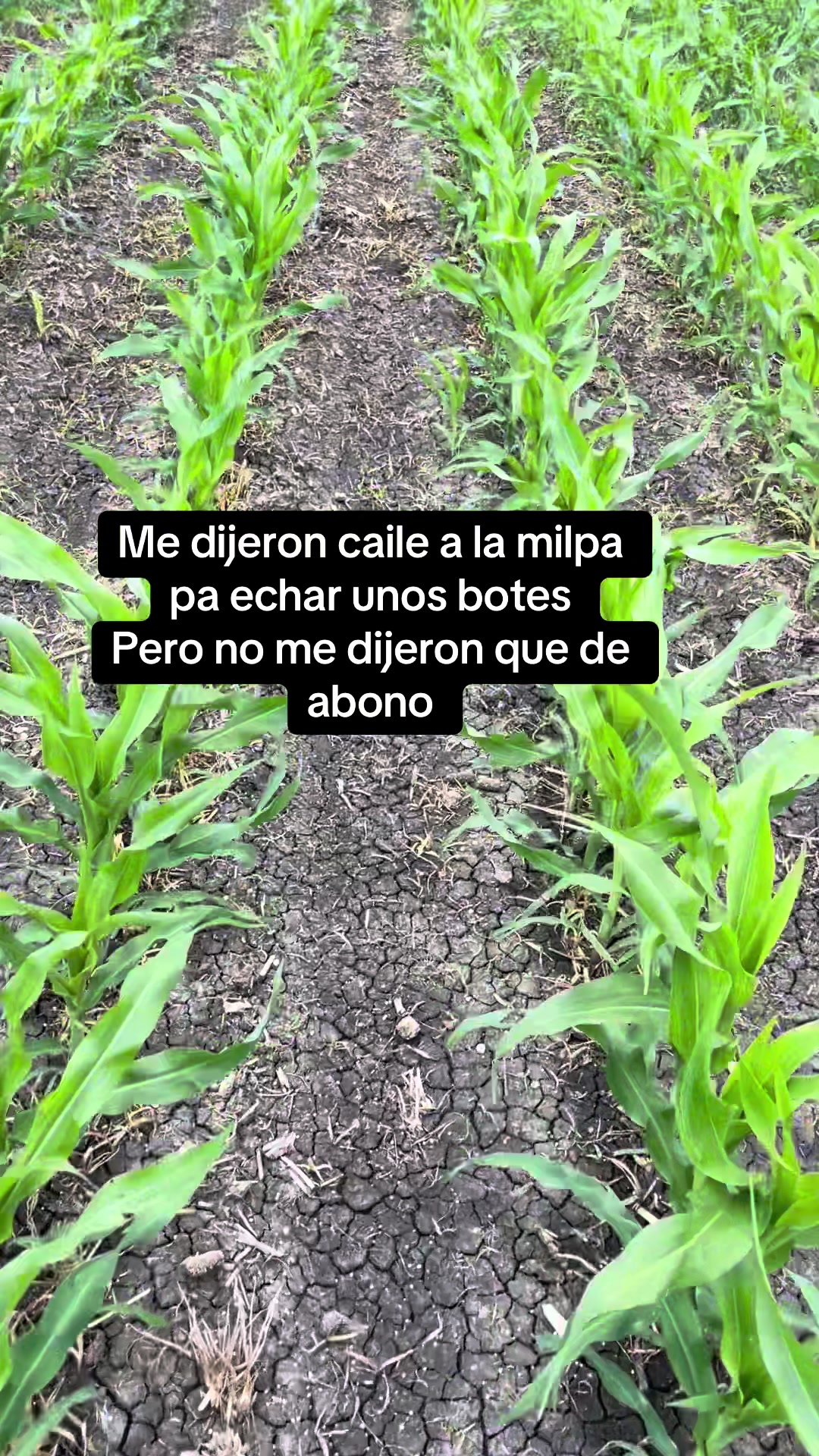 @el_menor_04