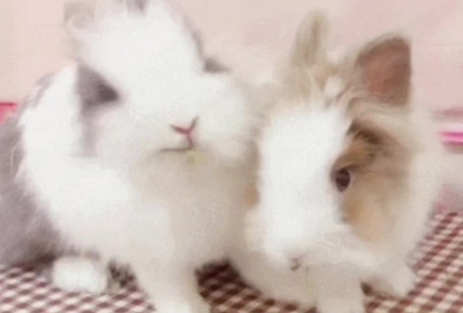 @>w<