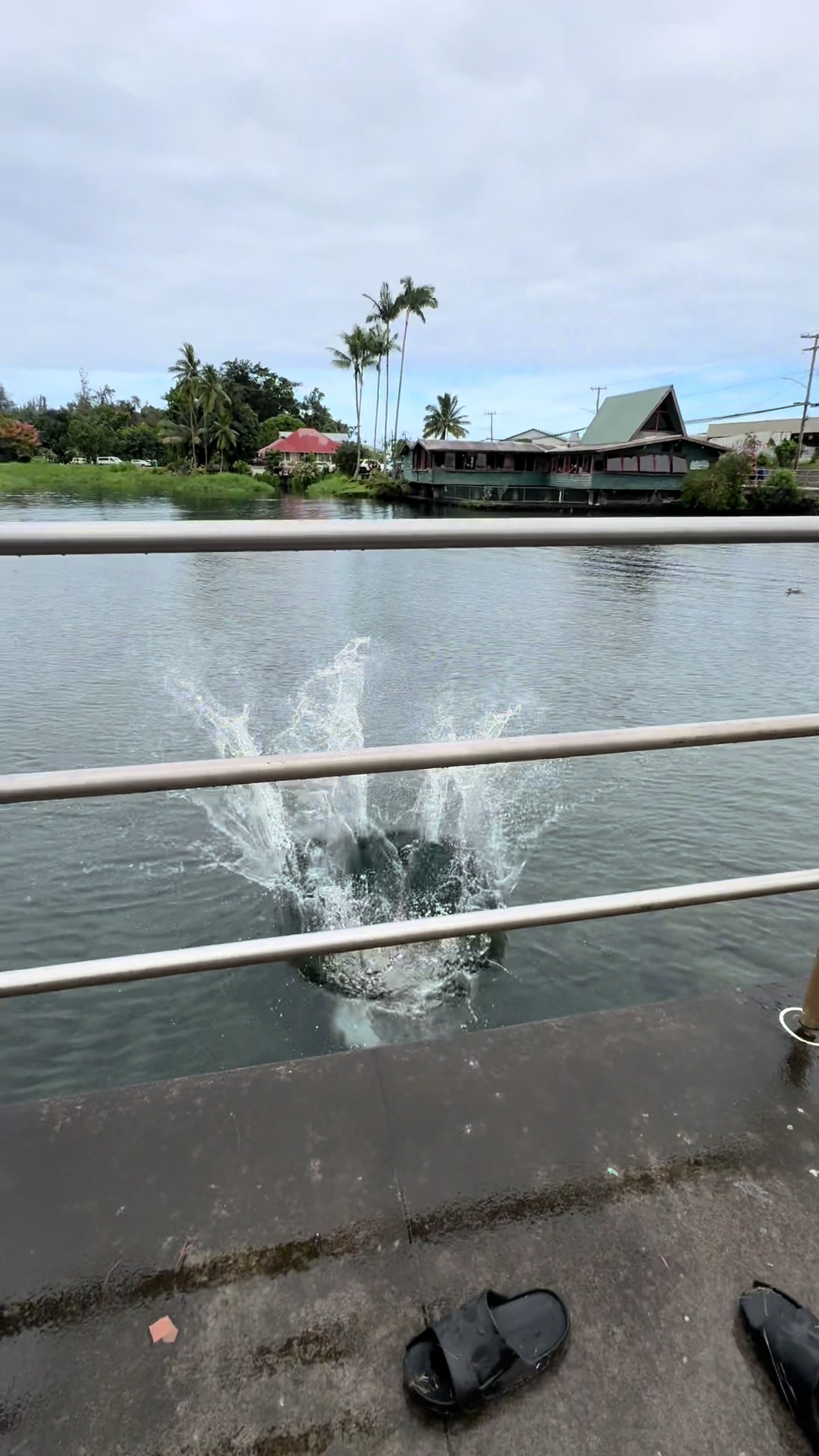 @Hilo bombing squad☔️