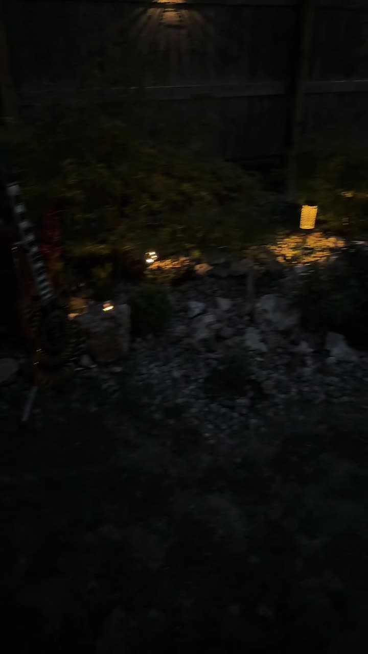 @Garden alive