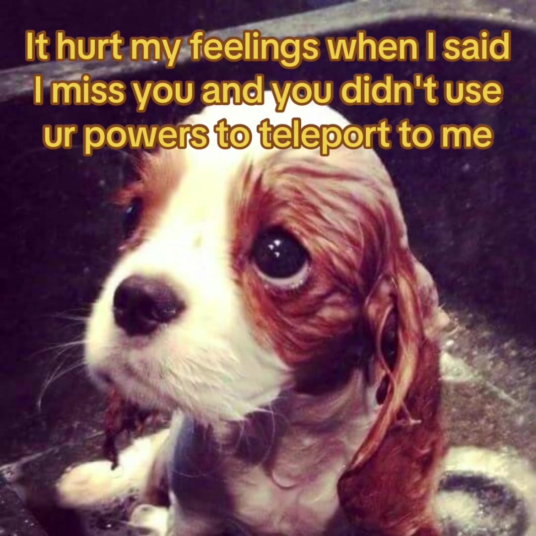 @The Bark Archive
