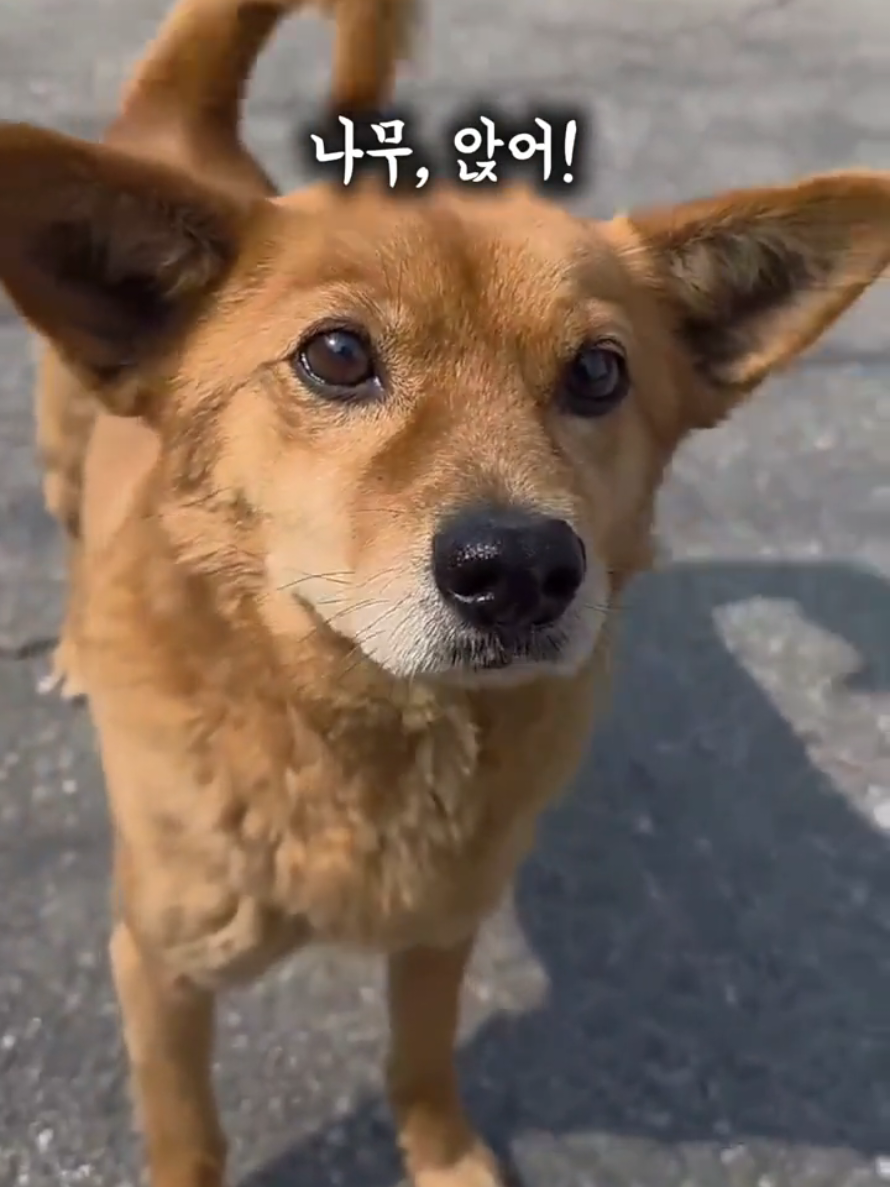 @하필유필