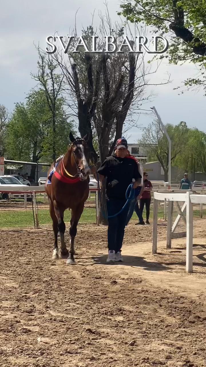 @Sofii Brito🏇🏽