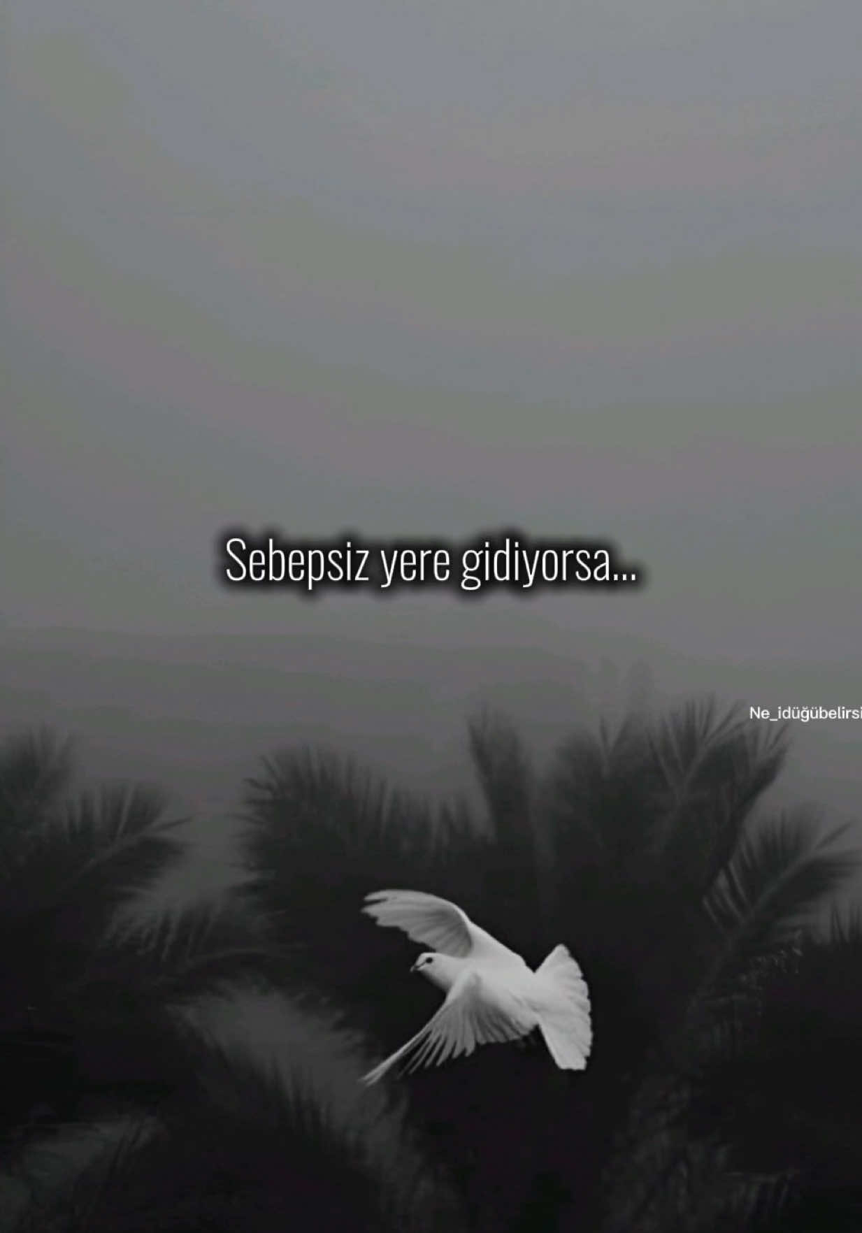 @ne_idugubelirsiz