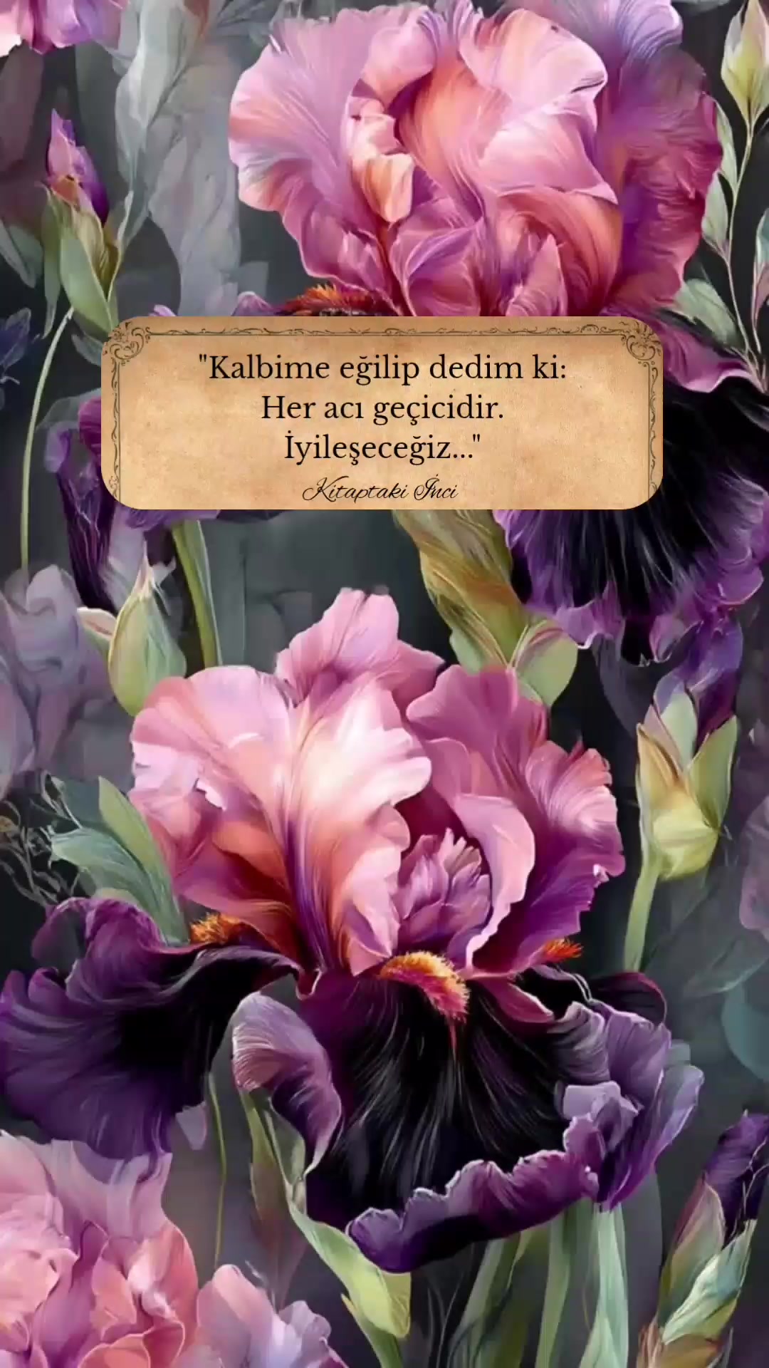@Kitaptakiinci