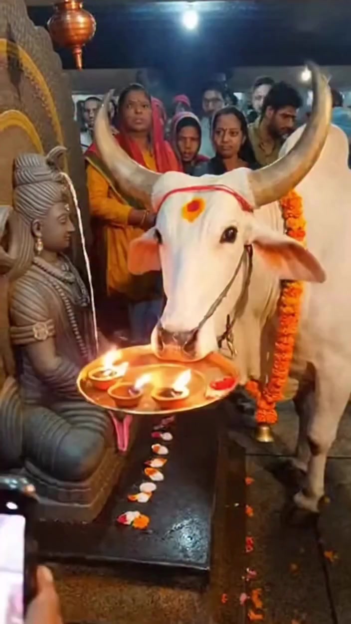 @mahadev_07x ❣️🙏🔱