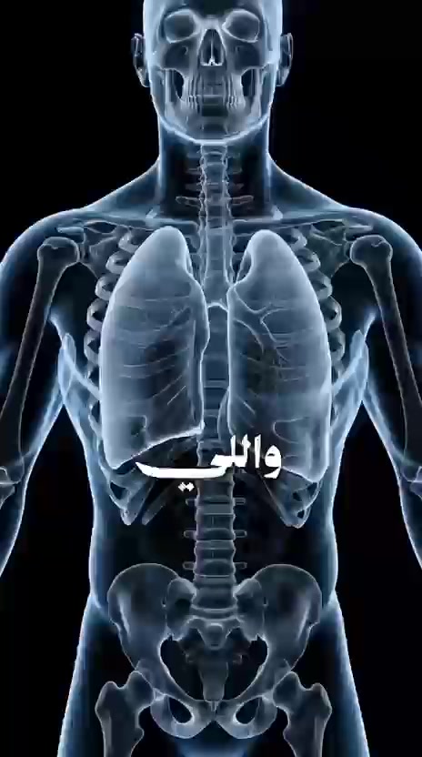 @بيت الاعشاب 🇰🇼💚