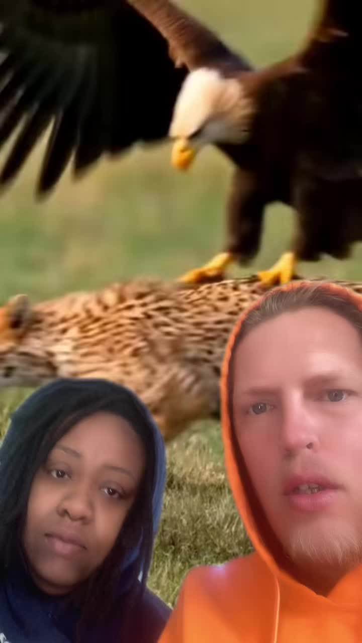 @fuchsshawn23