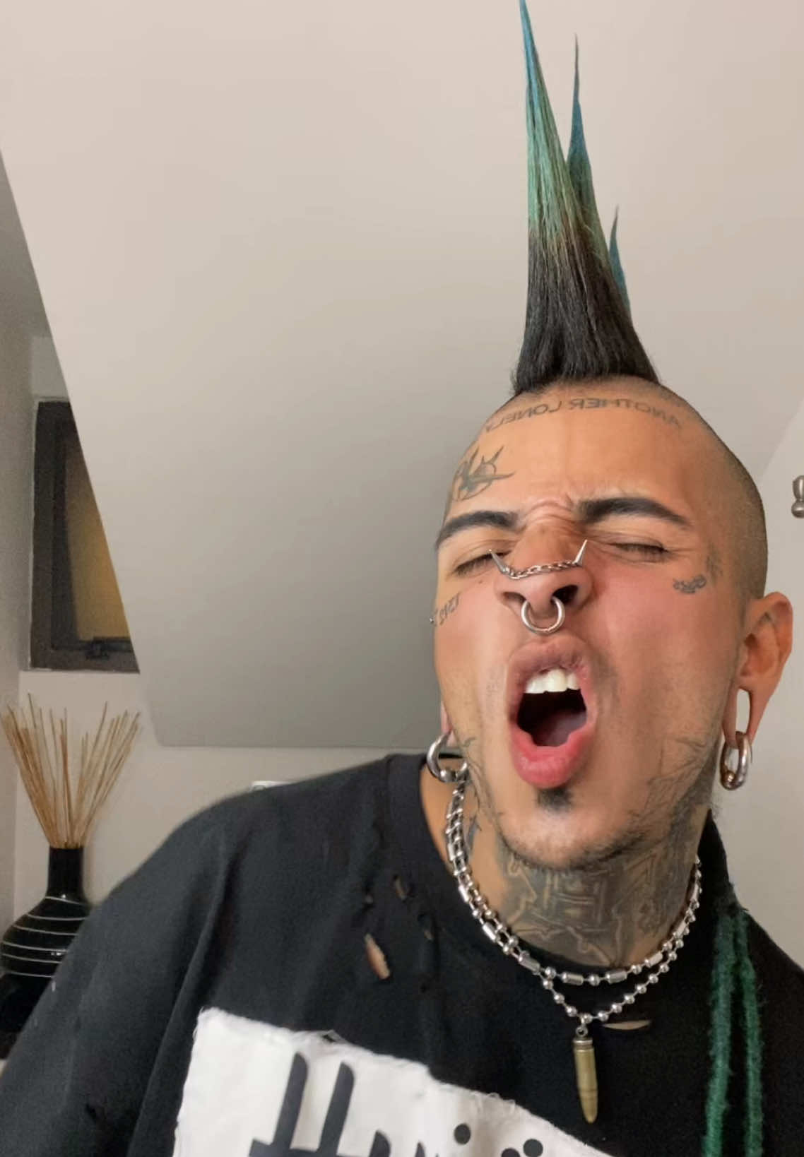 @punk_maldito