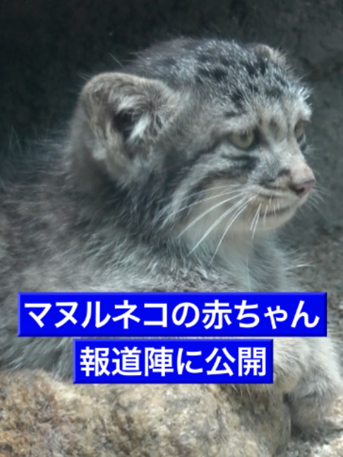 @毎日新聞