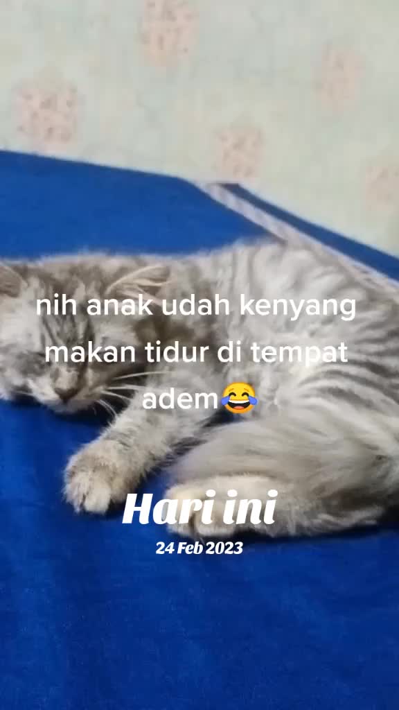 @D,Mommy gue
