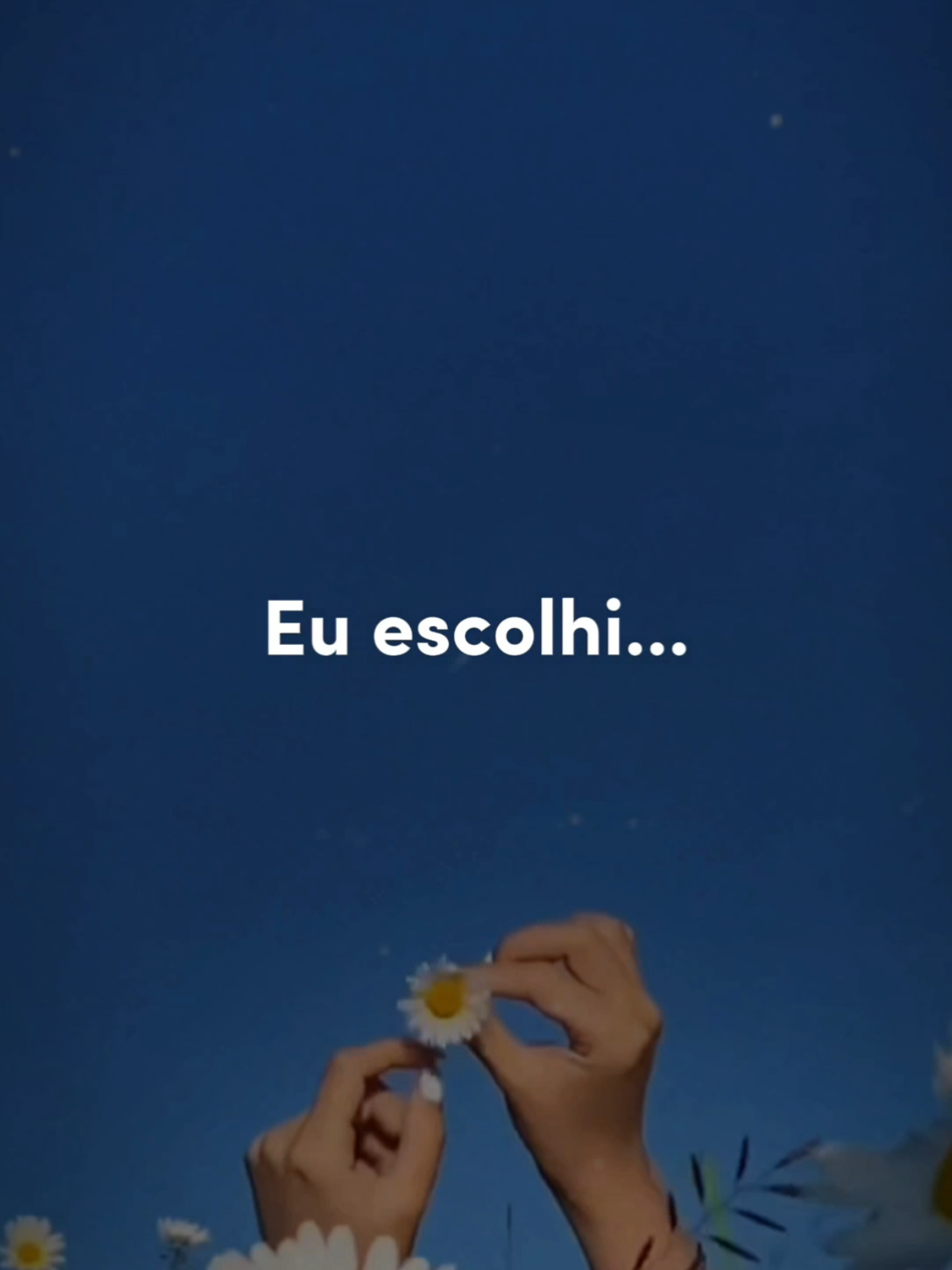 @Paz em Foco