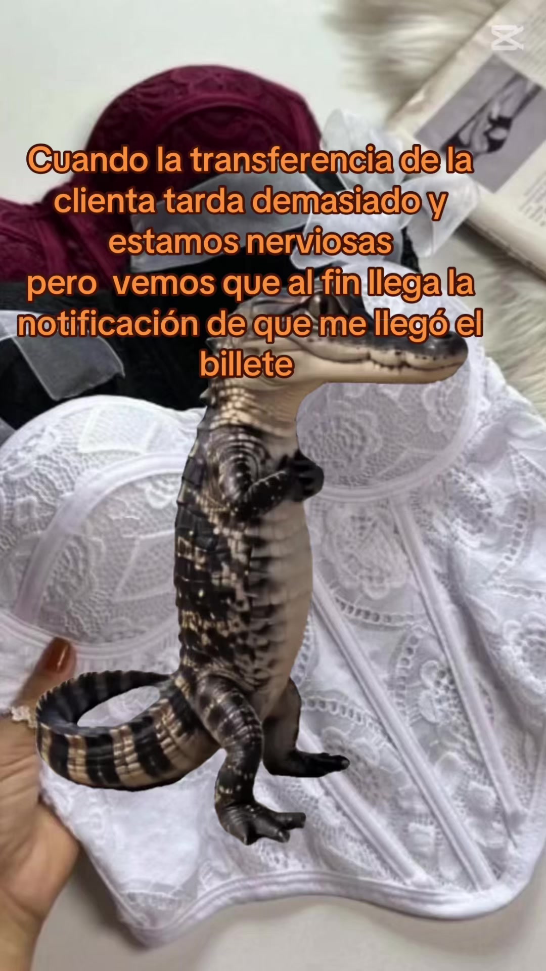 @Aldana González