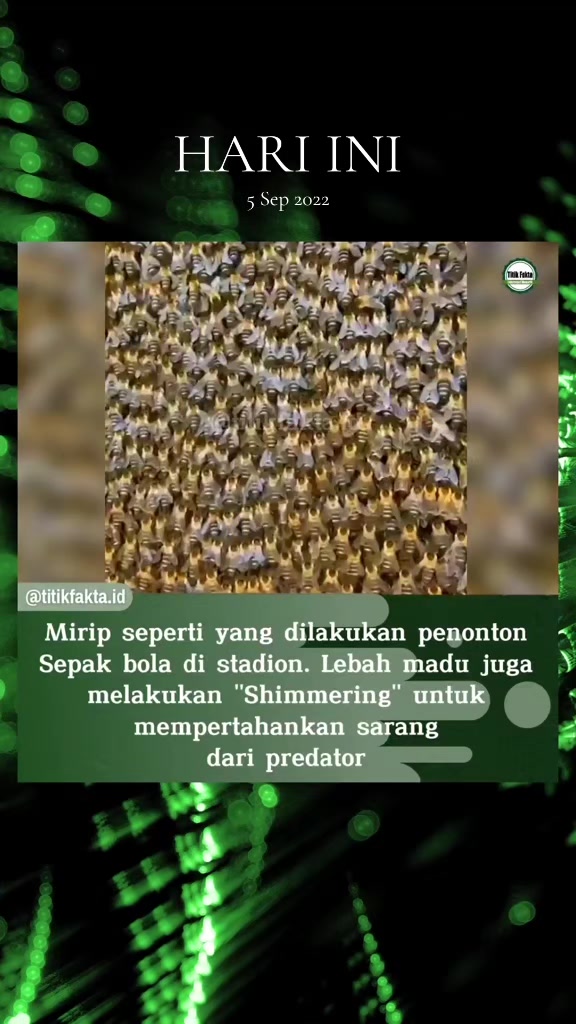 @Titik Facts