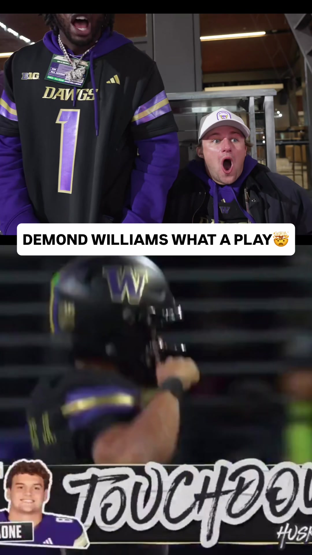 @snapbacksports