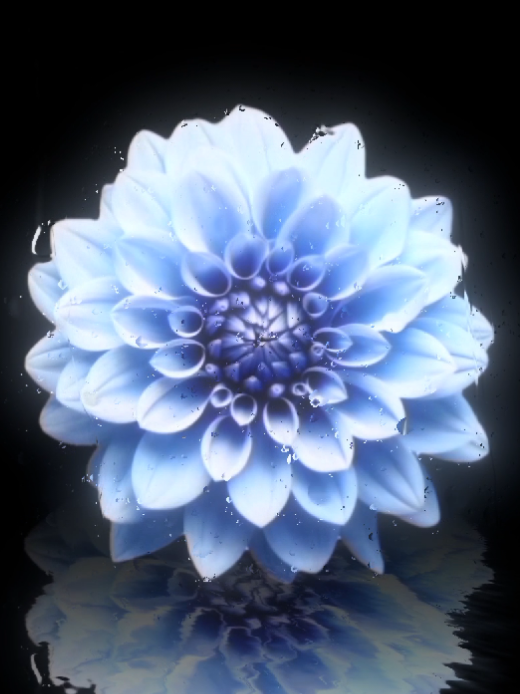 @𝐌𝐔𝐒𝐈𝐂 𝐌𝐄𝐃𝐄𝐑𝐎
