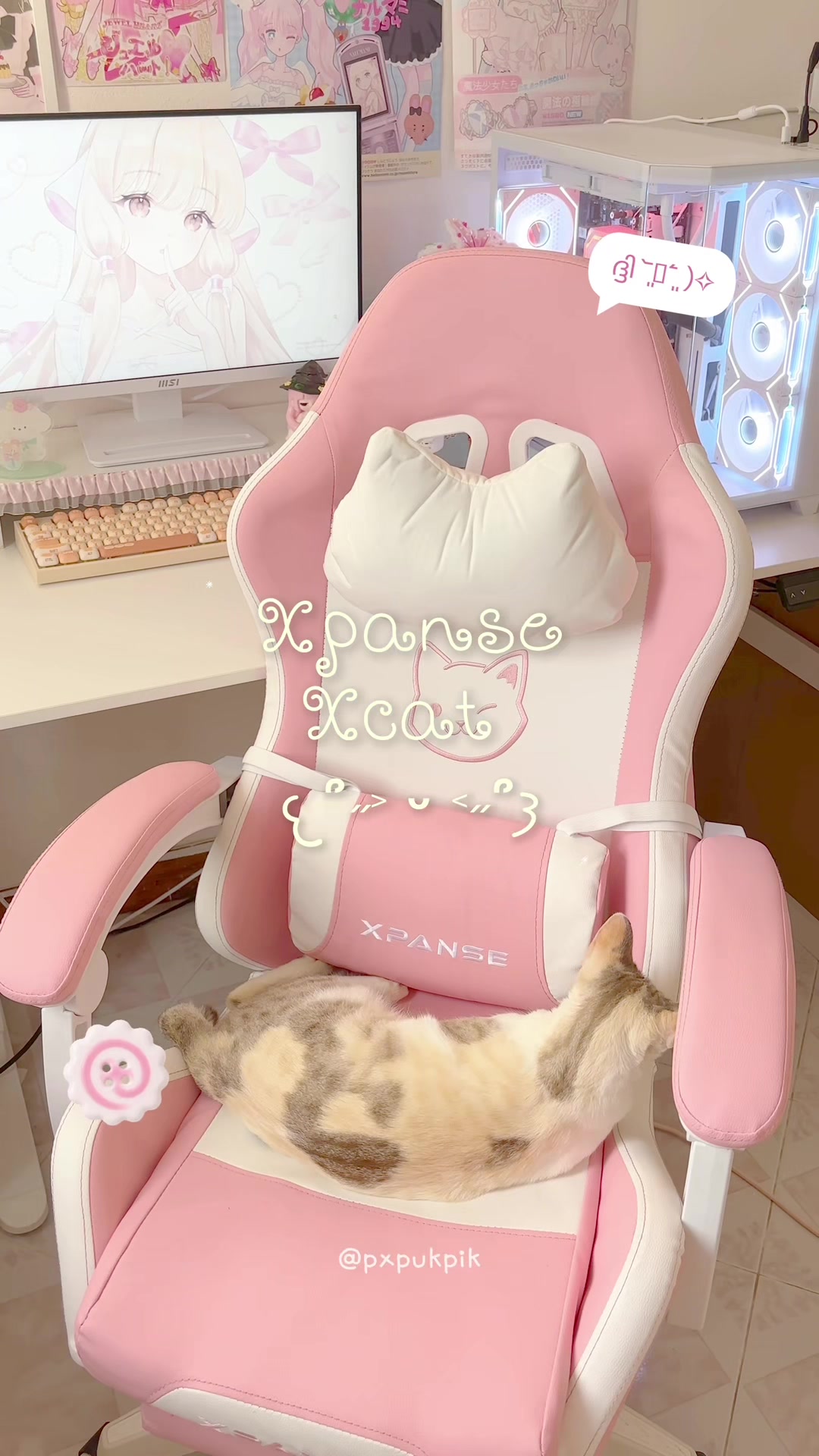 @⁺◟✿ ทูเดย์อิสพุกพิก ‧₊˚