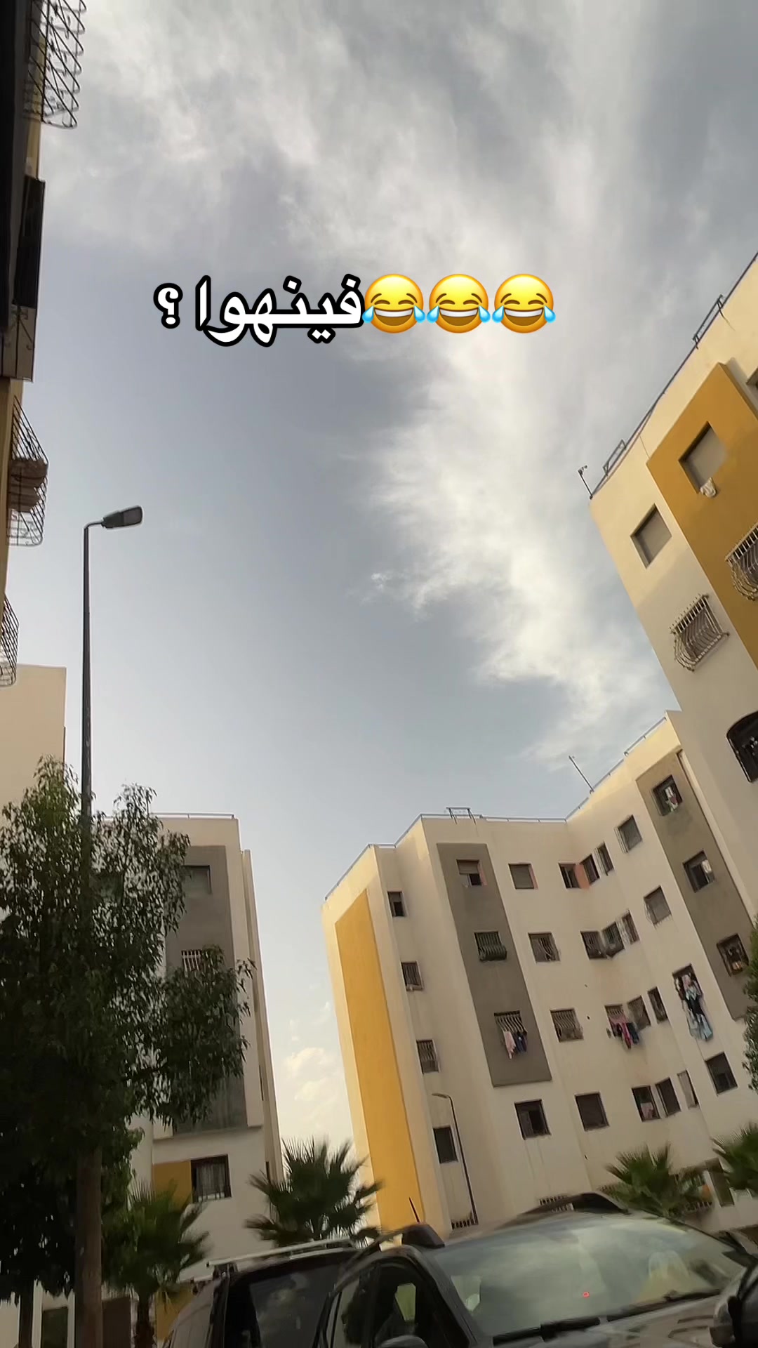 @هوني برستيج🦋