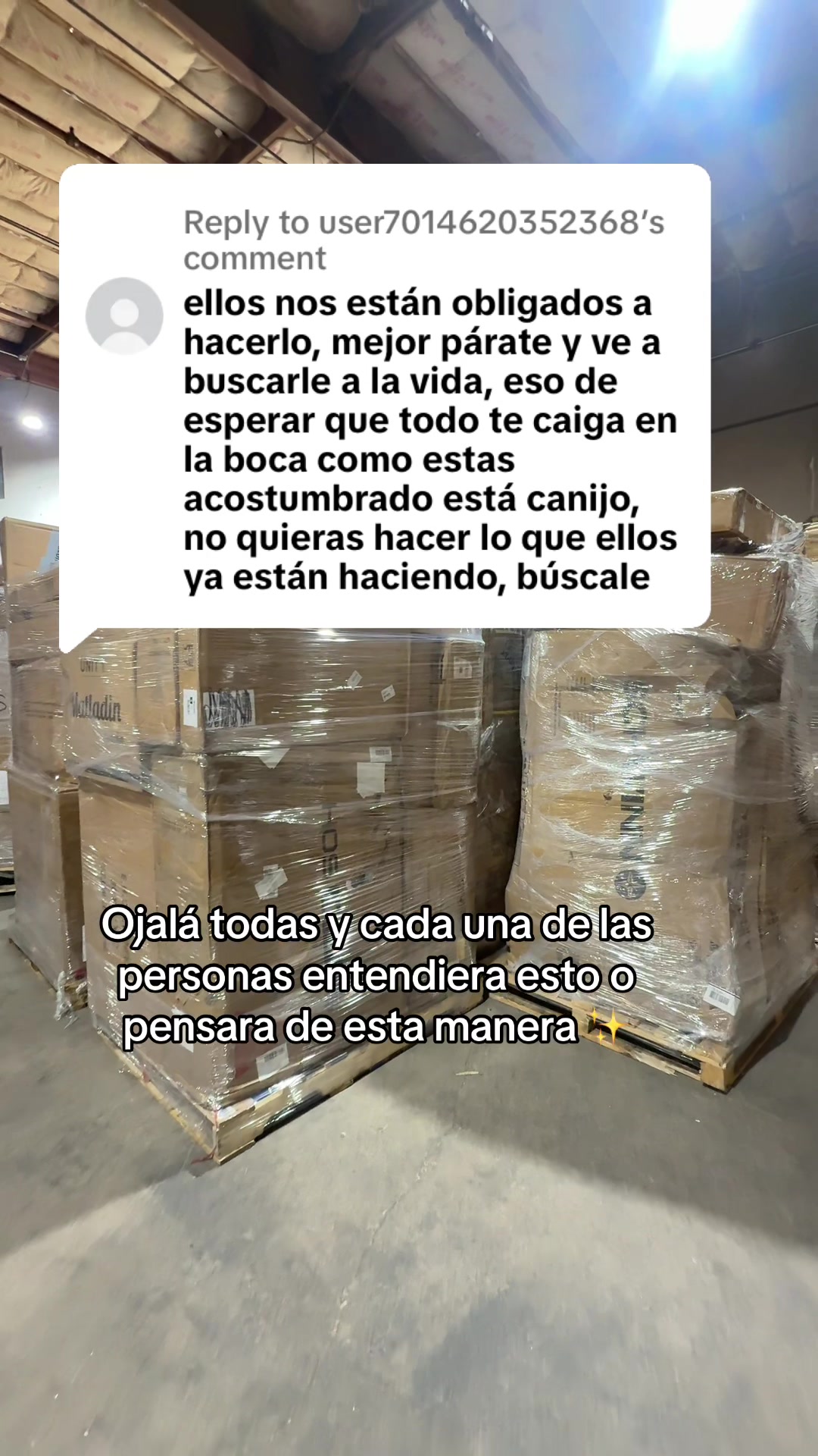 @Lugo Sales🪴