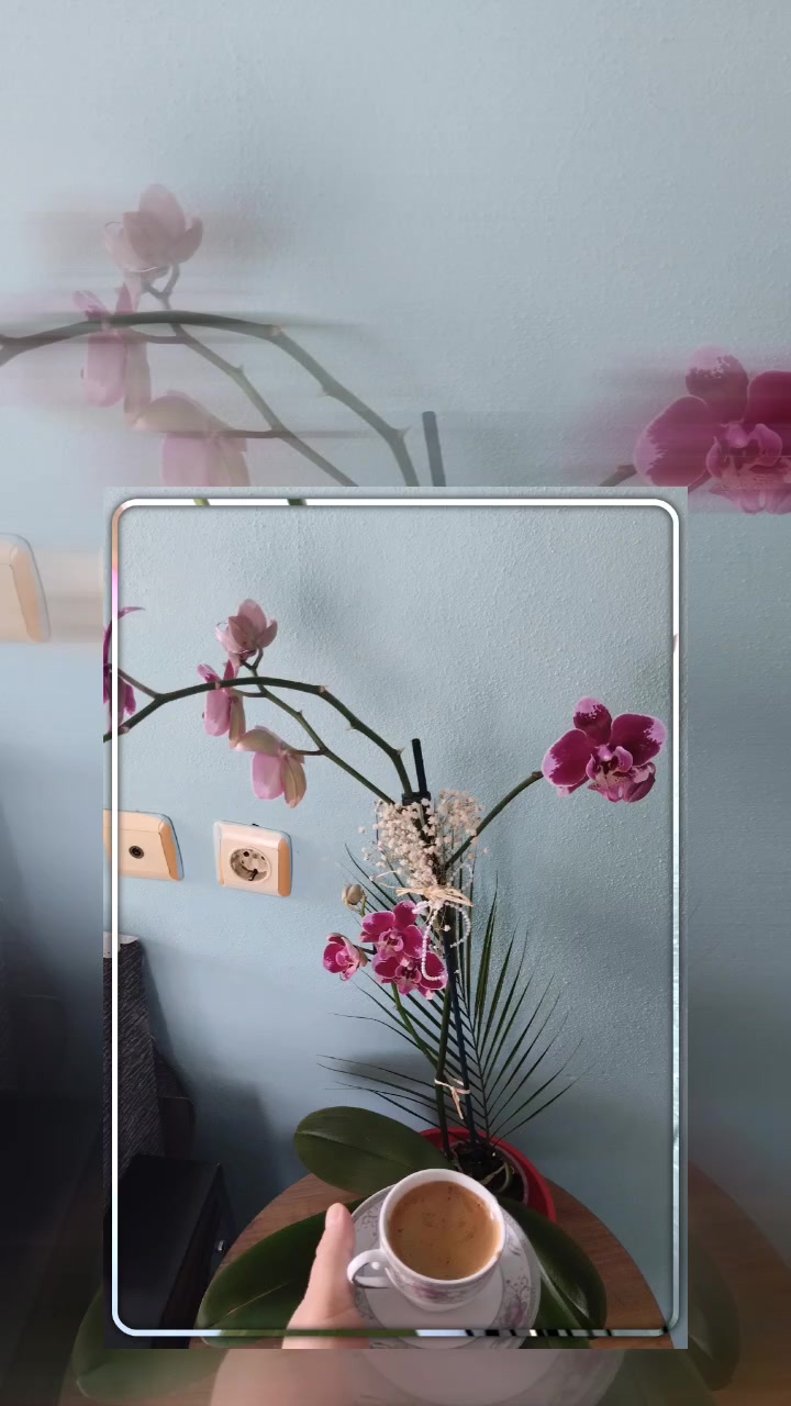 @🌼