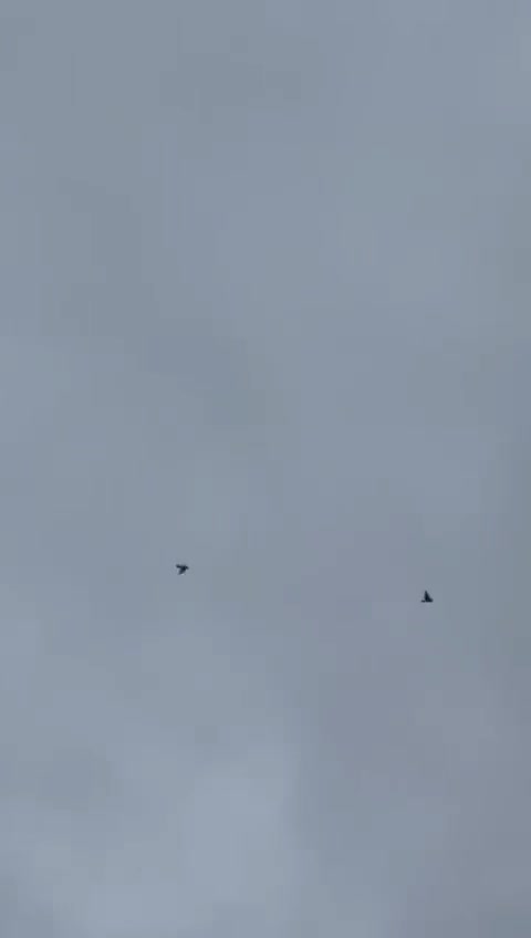 @d&ouml;nek_g&uuml;vercin_
