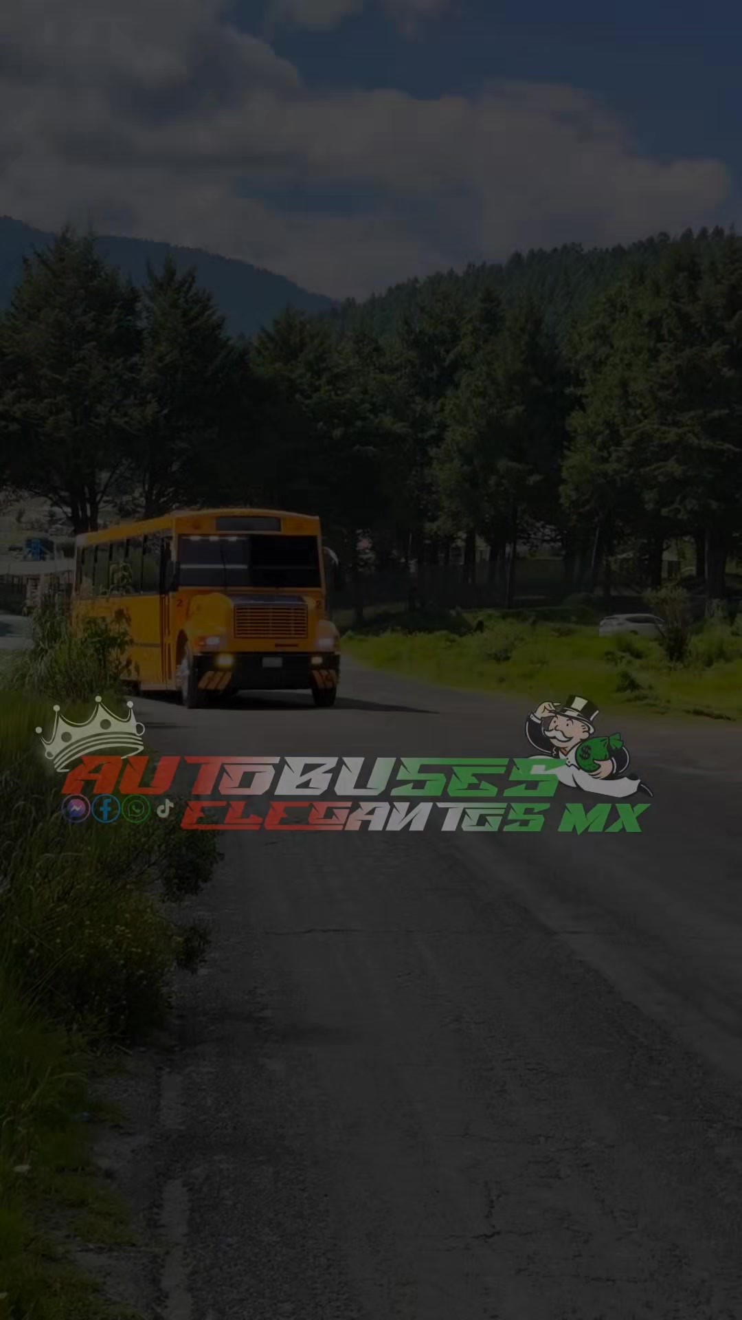 @Autobuses Elegantes Mx