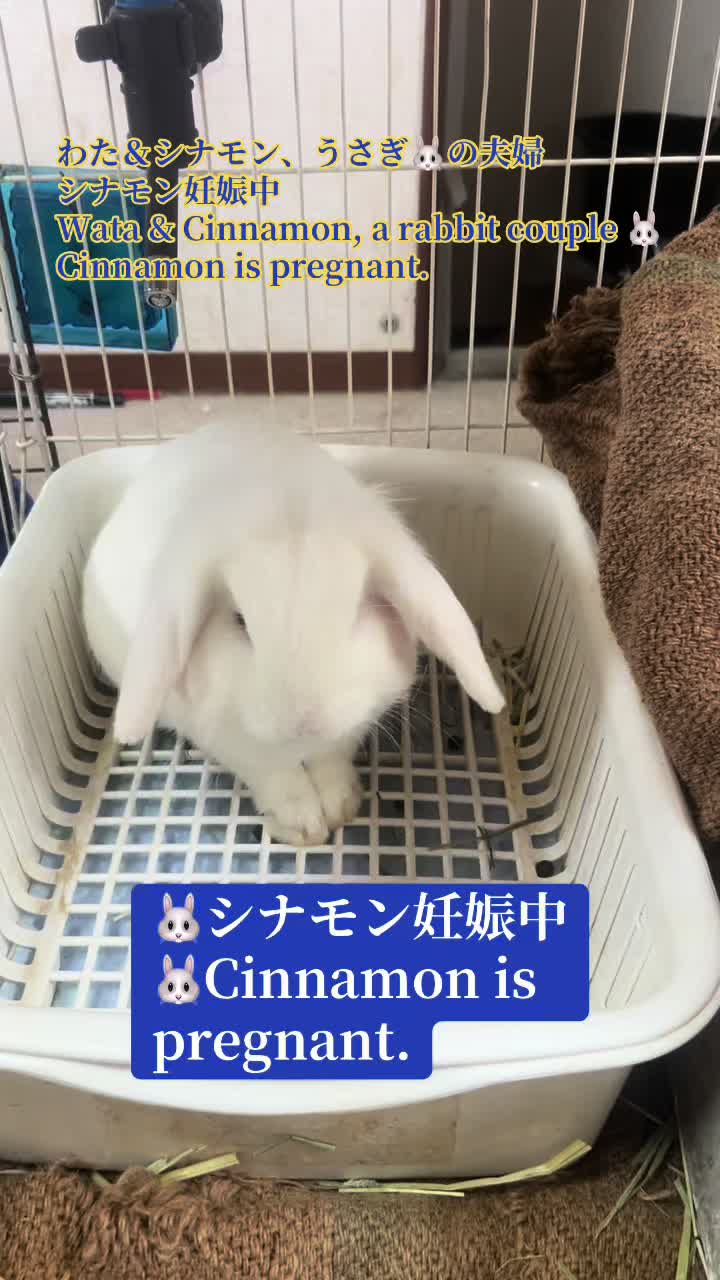 @billion_farm