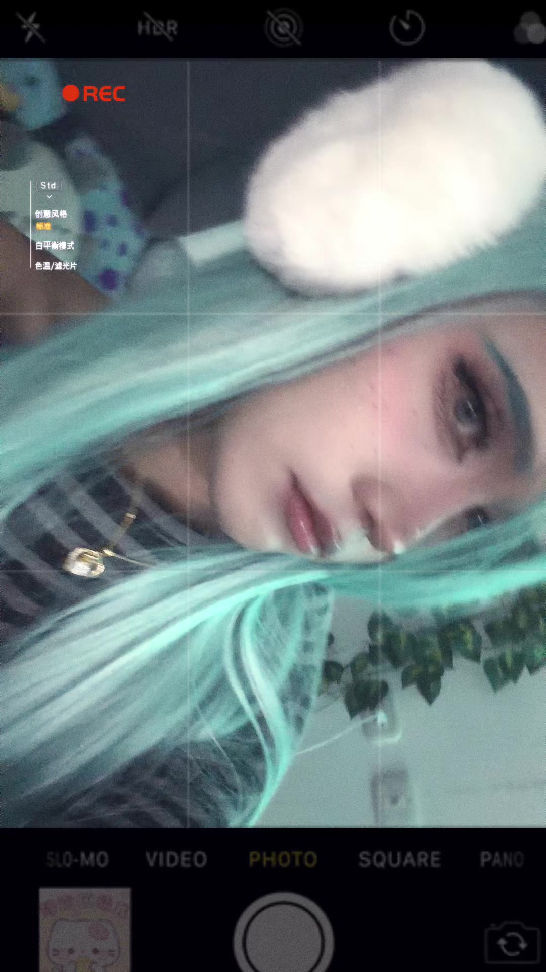 @️andysito🍄