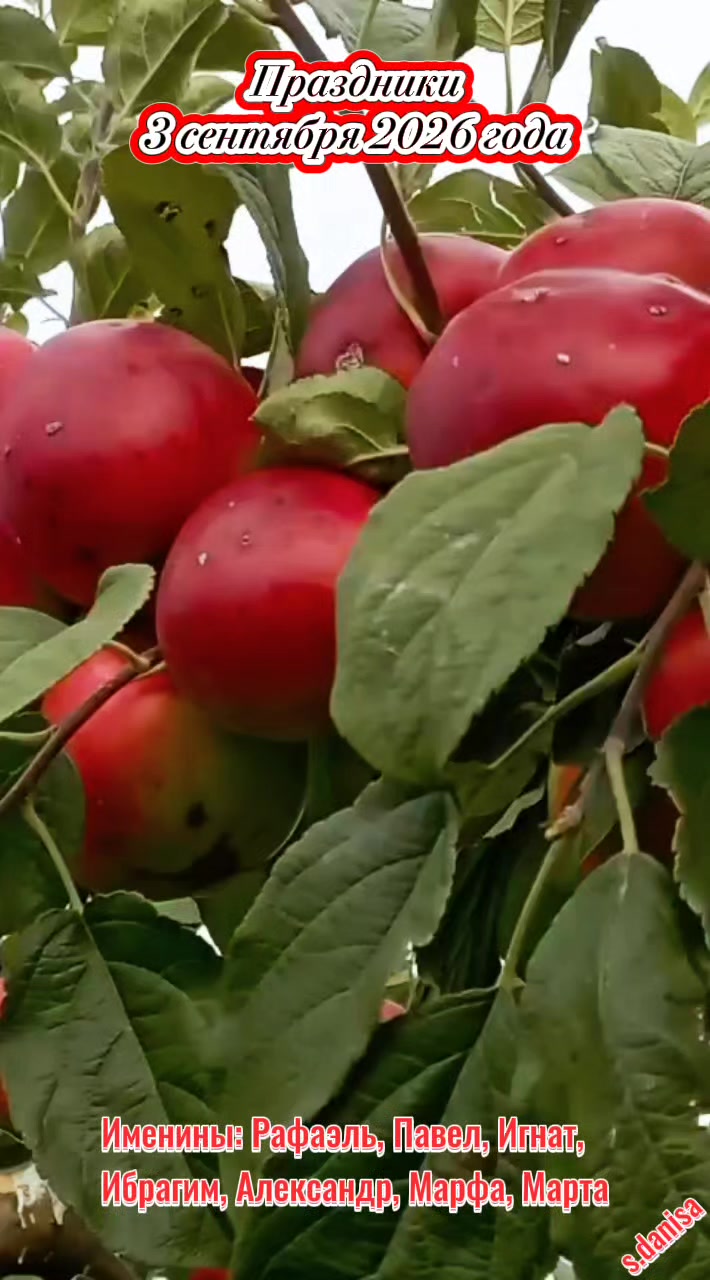 @💫Даниса💫