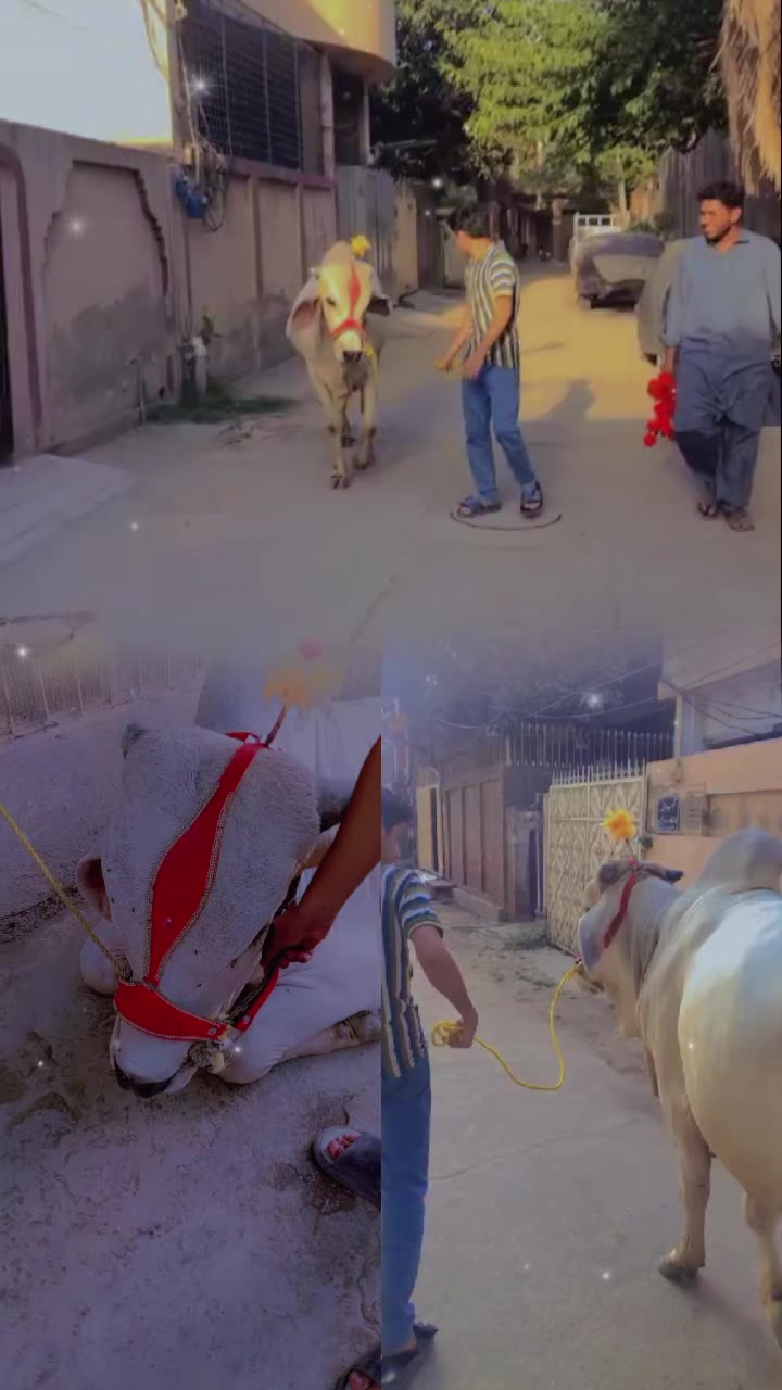 @𝒜𝓃𝑜𝑜.𝓍𝒾𝓉𝓏🥀