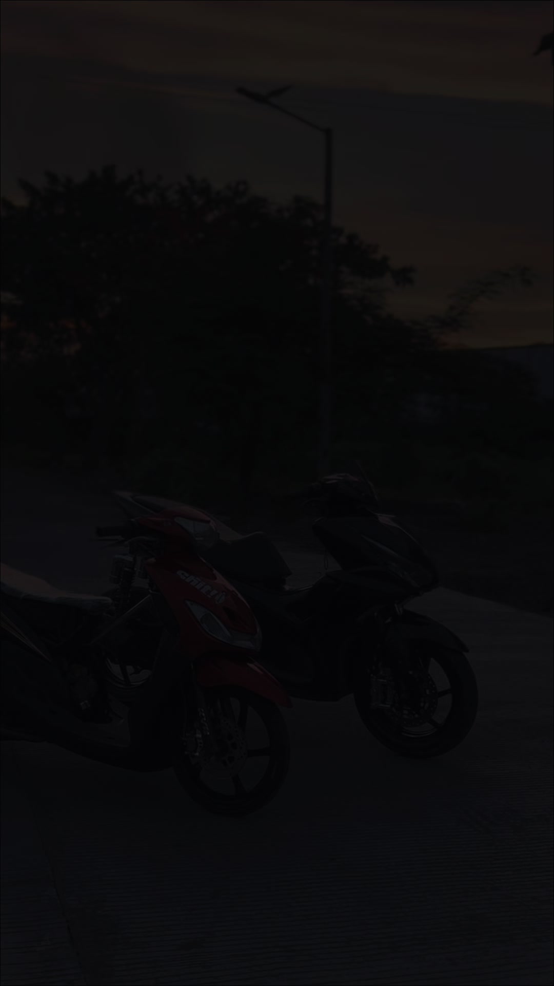 @PALYADONGGEN1