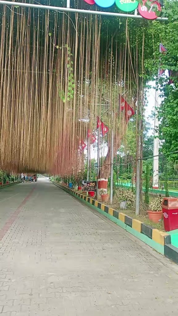 @situ