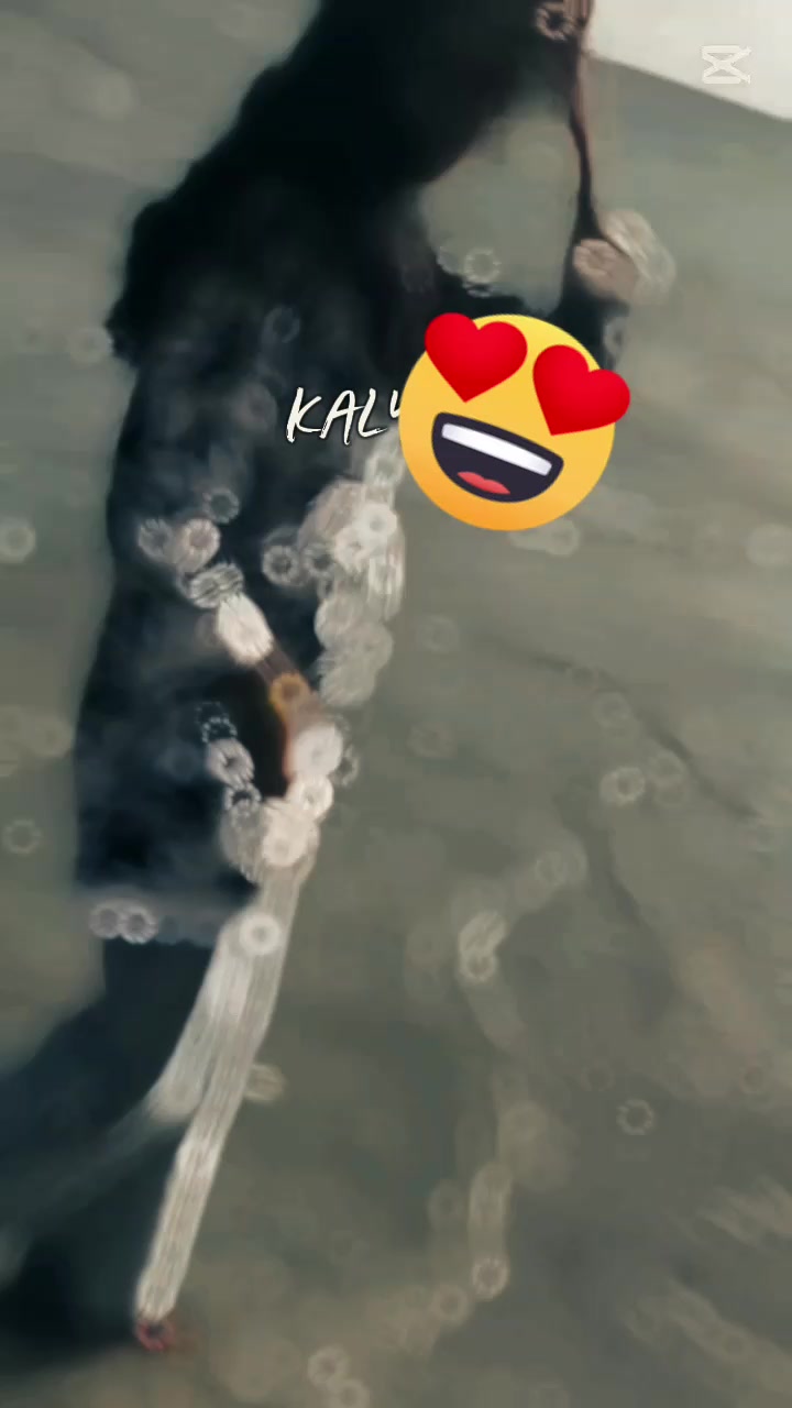@🦋ᵐⁱˢˢ զմεεη🖤👸