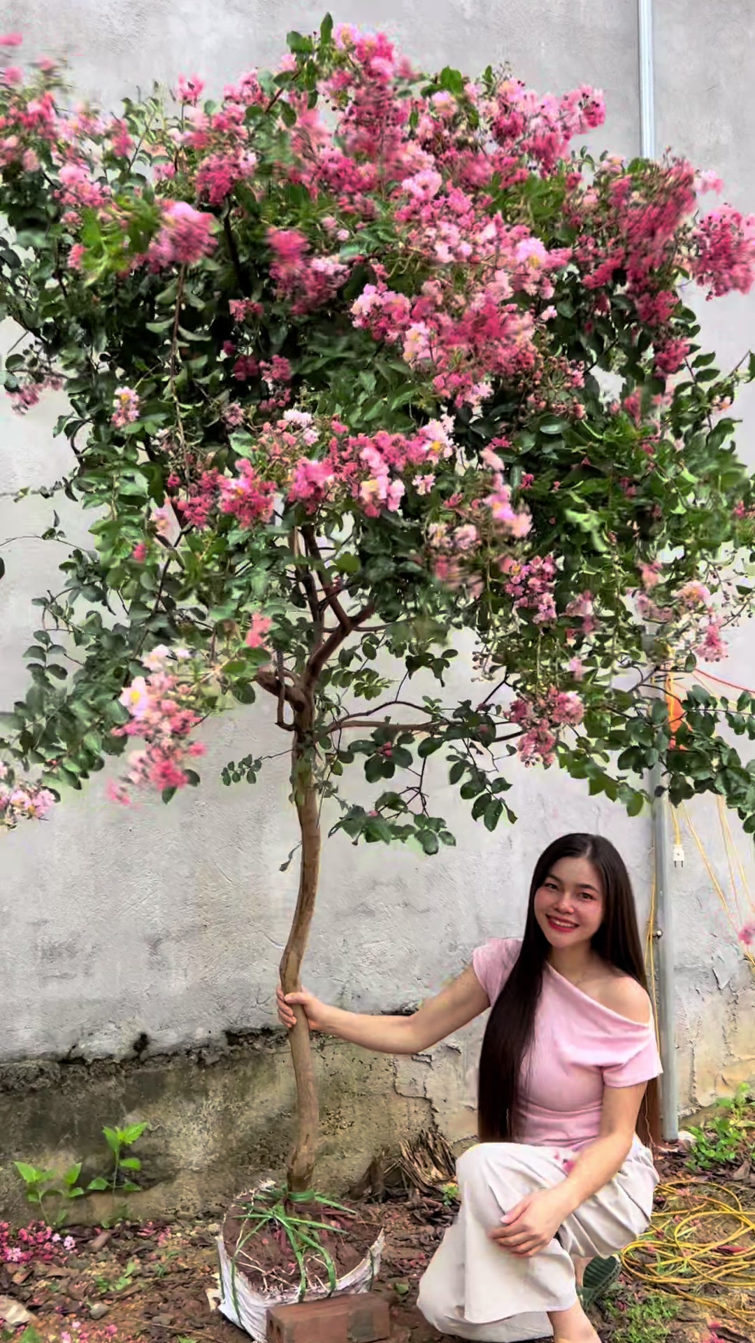 @khongla94