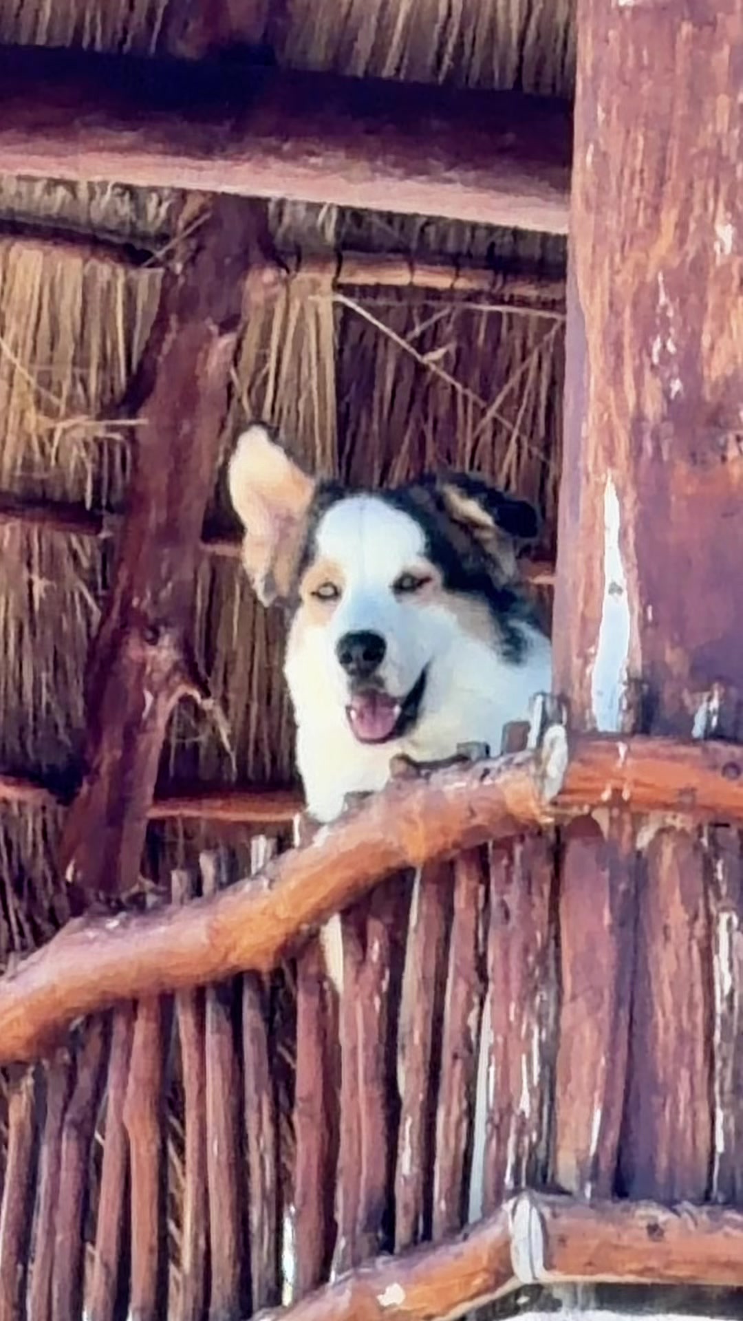@Murph_holbox