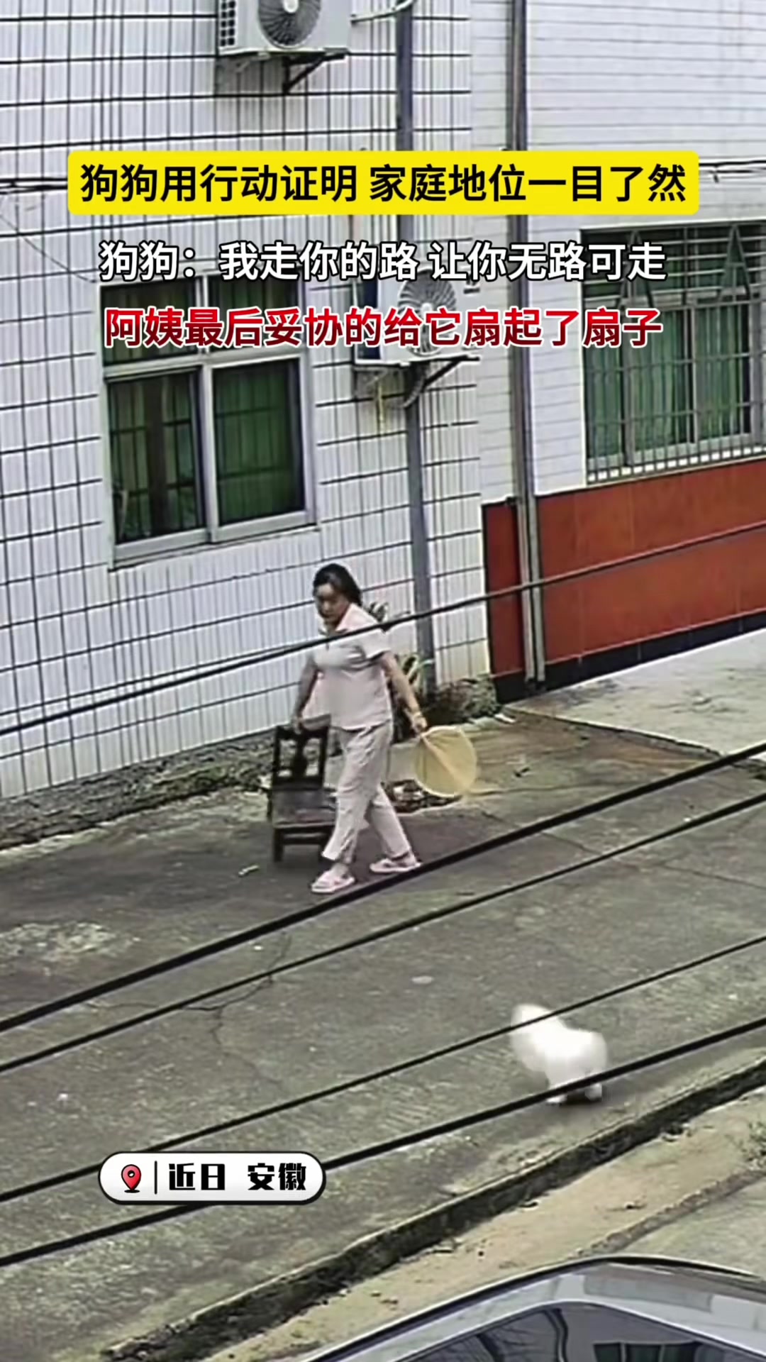 @中国蓝国际