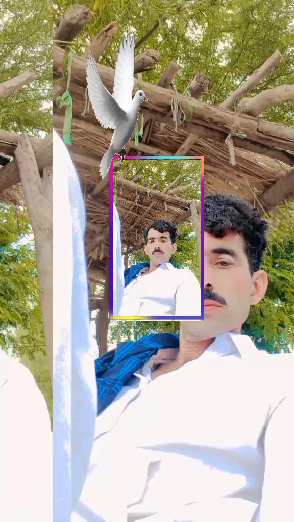 @Zia Saggu