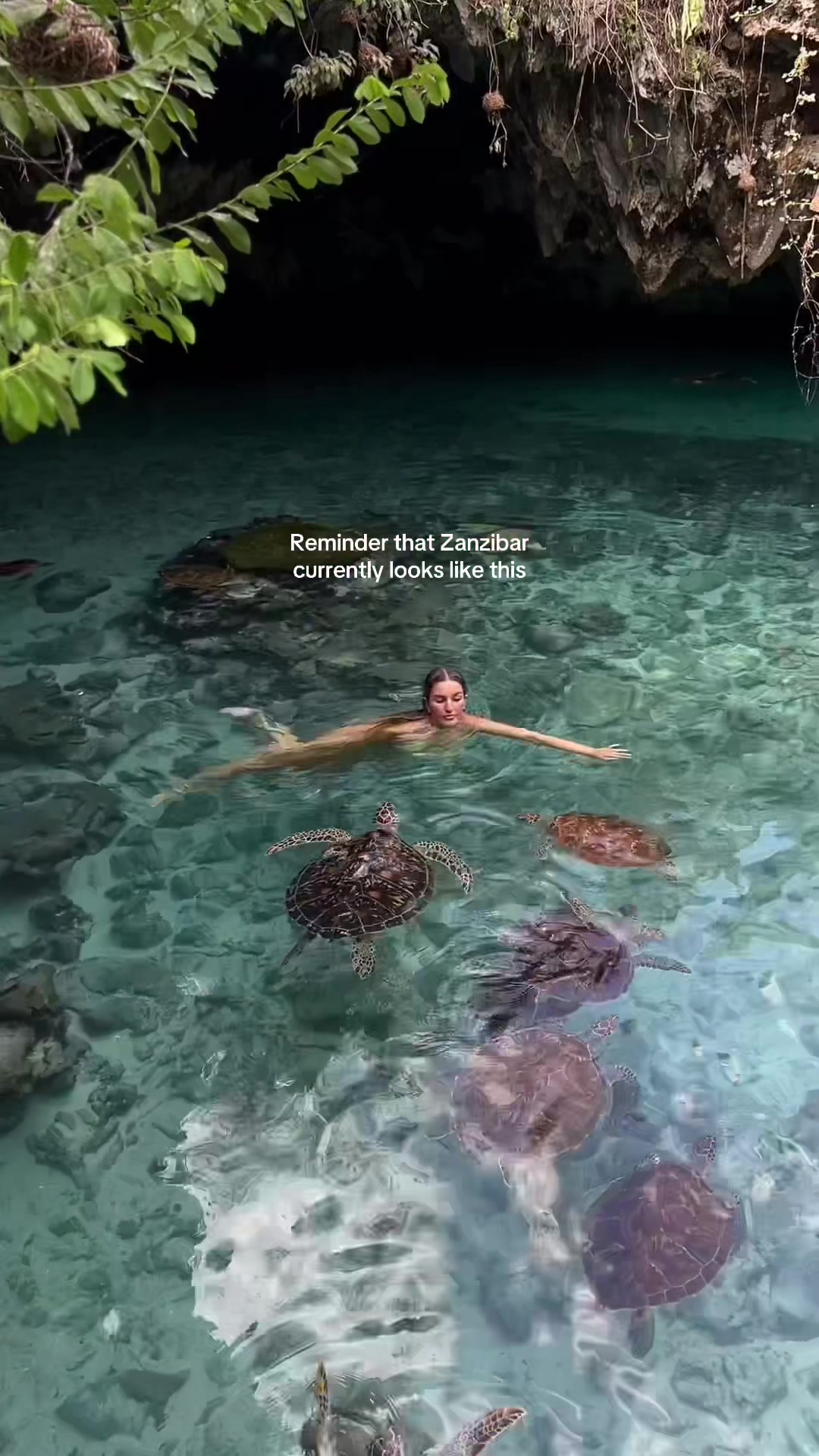 @Aimee Bell - Travel & Life