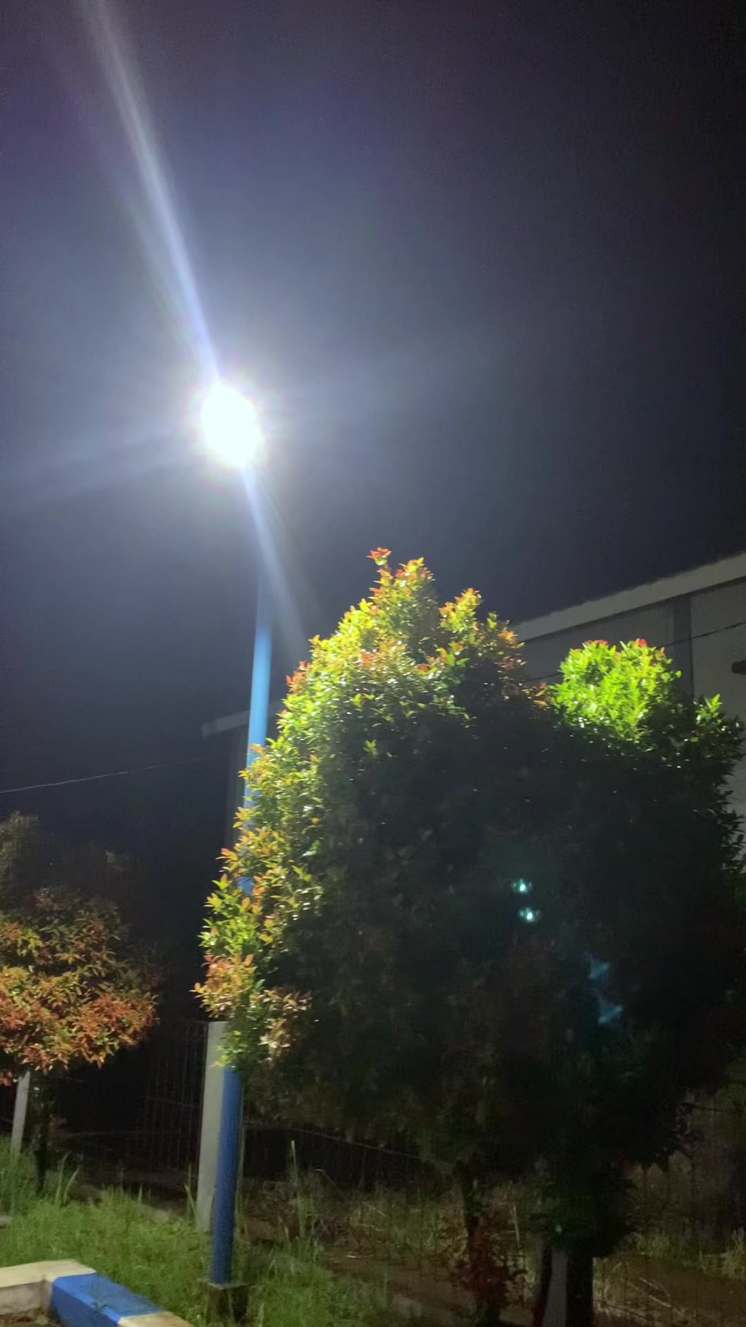 @𝙑𝙚𝙡𝙞𝙣𝙘𝙮_