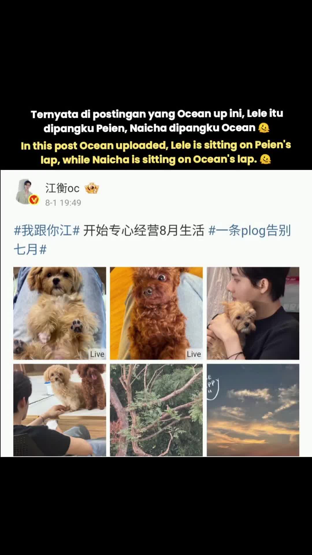 @jiangli🌊🌲