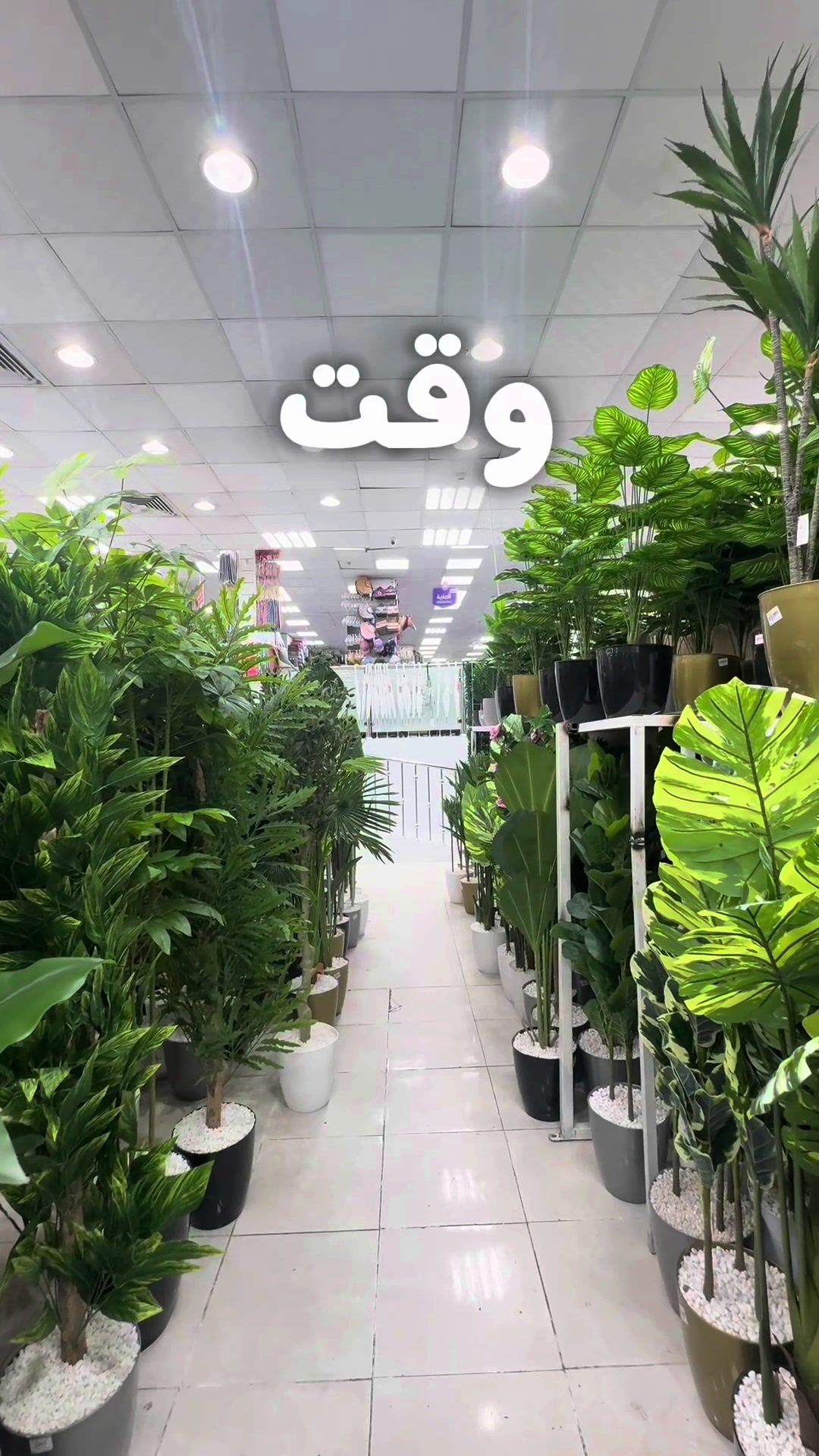 @شركة مزايا دبي - مكة - الشرائع