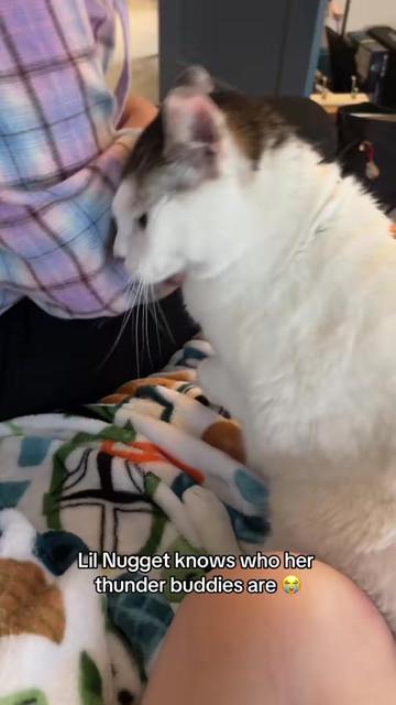 @🔮Maddie🌙
